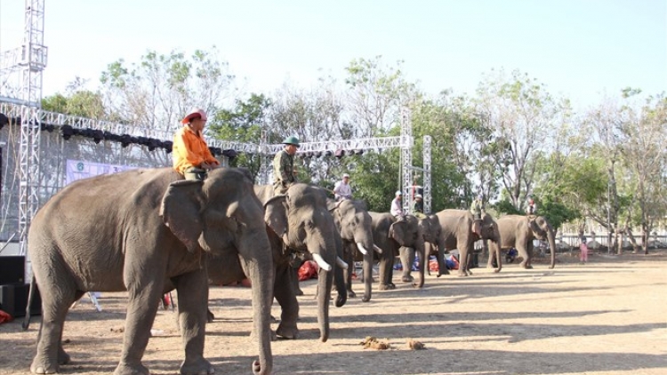 Rơwas hoài dơm chi