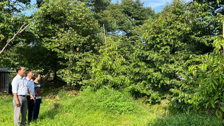 ពត៌មាន ម៉ោង​ ៦