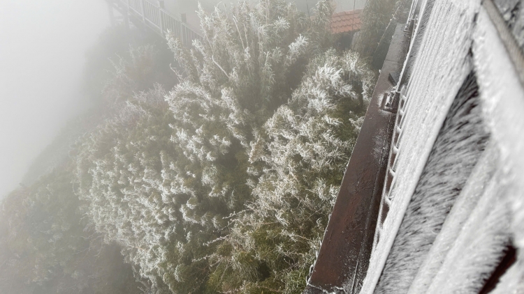 Quam kháo phổng Tày Bắc thứ 5 mự 08 căm bườn 01 pì 2026