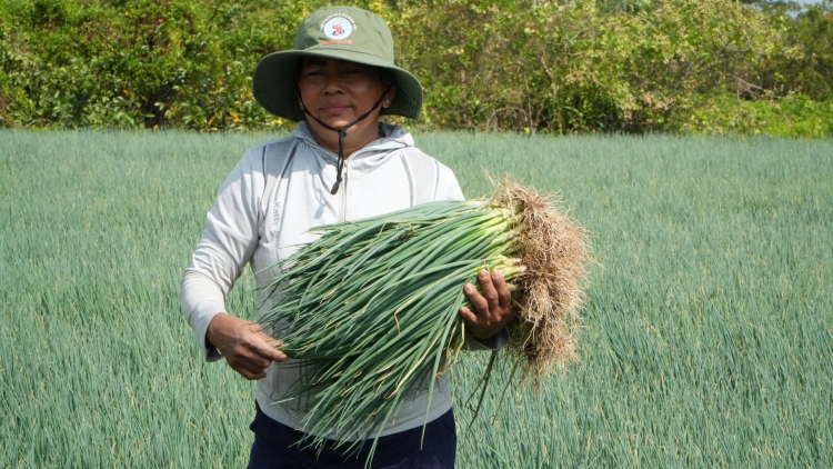 ជនរួមជាតិខ្មែរសង្ឃឹមថាឆ្នាំថ្មីវៀតណាម ២០២៦ ប្រទេសជាតិបោះជំហានឈានឡើង