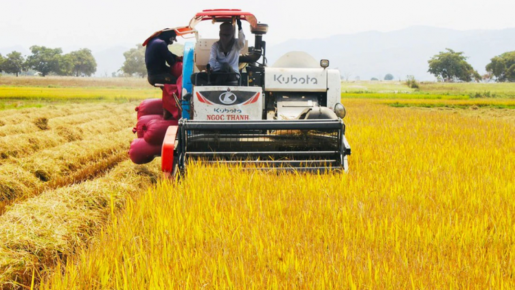 Tơlơi pơhing phrâo lơ 14-2-2026