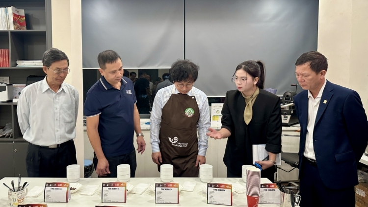 KOPHI ROBUSTA HU ANGAN DI VIET NAM YAM TAME THUN BAHRAU HAONG HATAI JE SAONG CAONG TAKRE UAK DREI TAGOK