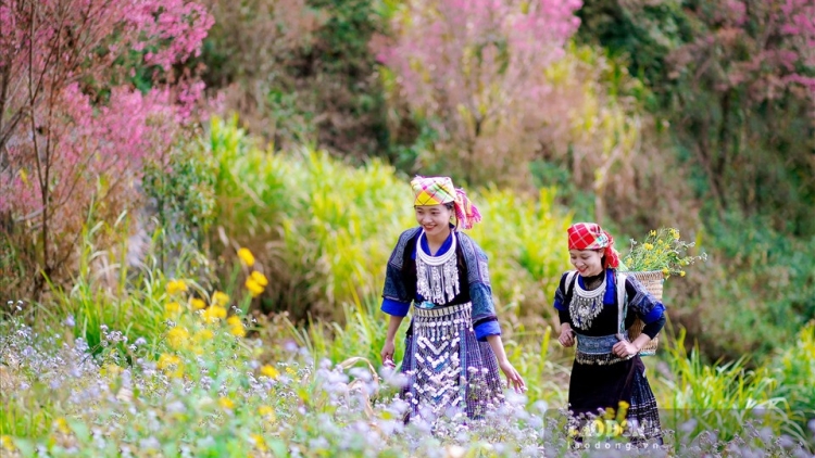 Danak dak sap Cam 08_02_2026