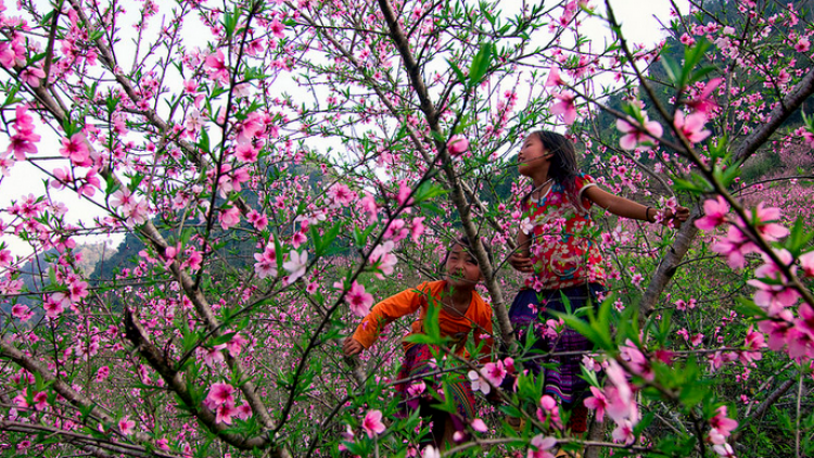 CHƯƠNG TRÌNH KHAY HENG TÀY - NÙNG (Chủ nhật, vằn 22 bươn 2 pi 2026)