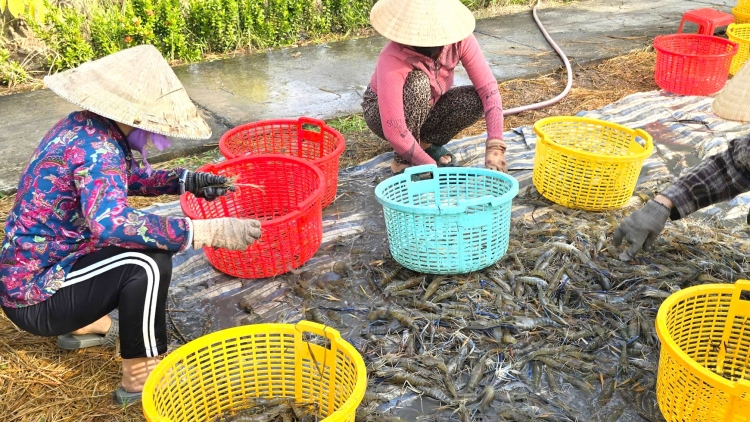 ពត៌មាន ម៉ោង​ ៦