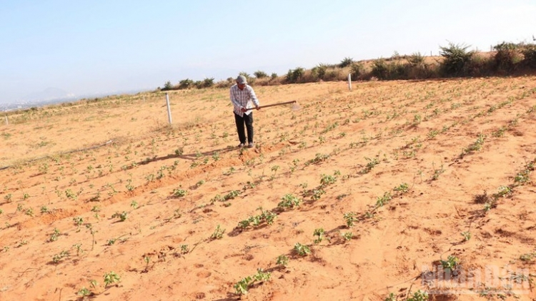 PASIAM JAK JENG PAJAIH HABEI BHONG PALEI TỪ TÂM