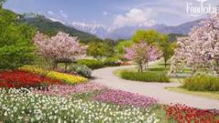 Phiu ro tơdah hơnăm nếo