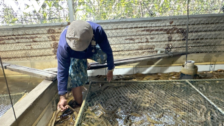 RAONG LANUNG OH GLUH JALAN PATRUH KATHAOT DI URANG BANGSA KHMER DI CAN THO