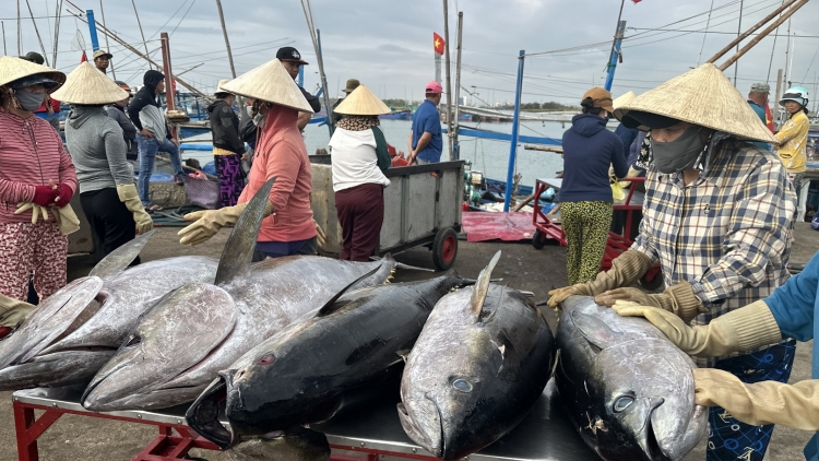 Kuăn pơlê tơnăng ká xi xŏng Dak Lak châ ká xixŏng hên apoăng hơnăm