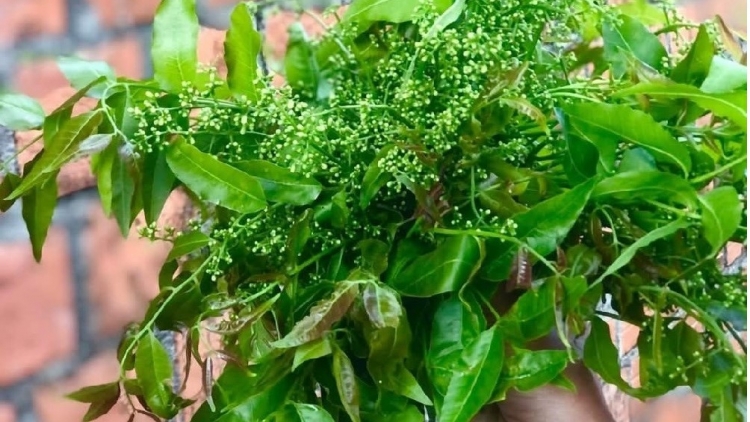 Tang Liang: 'nhot bri “tăng mă pơ-'nam”