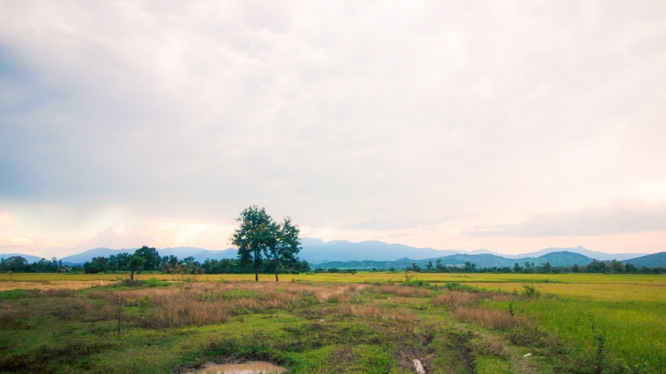Tháng ba Tây Nguyên