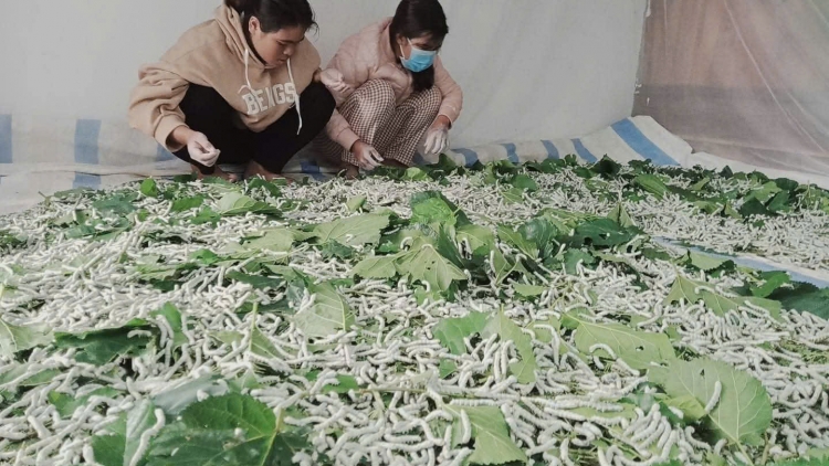 Jơnau tơngĭt ngai dơ̆ 3, ngai 17 nhai 02 nam 2026 (Ngai 01 Sa tềp)