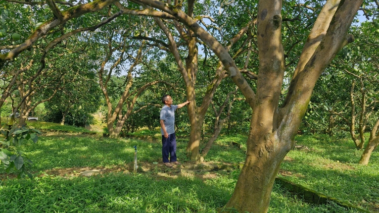 Chương trình phát thanh quam Tay thứ 3 mự 24 căm bườn 2 pì 2026