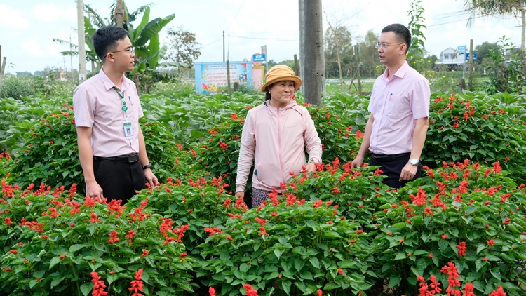 ZÊN VĂ T’DUI ĐOỌNG ZOOI ĐHA NUÔR ZR’LỤ BOO TUH ĐÀ NẴNG BHRỢ PADƯR BH’RỢ TR’NÊNG