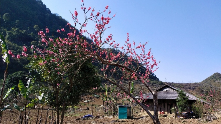 BẢN NOỌNG VẰN XUÂN 