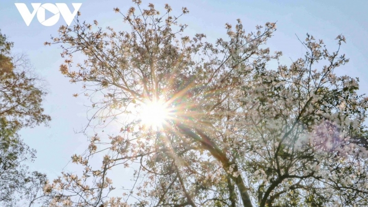 BHIÊC BHAN PÔ BAN ĐIỆN BIÊN 2026 GR’HOOT MOON BÂC RÂU T’MÊÊ