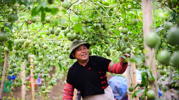 Tsaz yênhx nta suôz luk Hmôngz hnuz 18-02-2026 (02 tsiêz)
