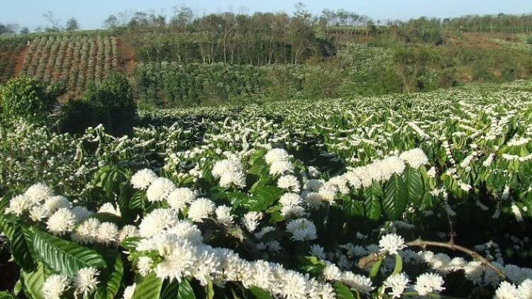 Jơnau lồi poh: "Săp ntas chờ tơnơ̆ ngai Satềp"