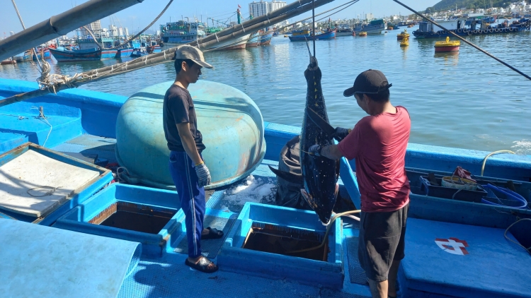 Trường Sa: Têt tung dế têa kơxĭ, hơtô tuăn pâ tơnêi tơníu