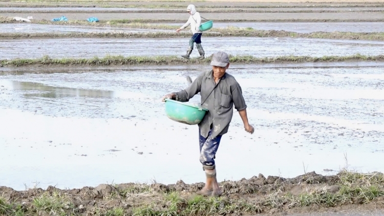 Mơnuih ngă hmua Dak Lak čang rơmang bơyan ngă hmua puih phang tơdơi kơ tal ia ling dăo ngă