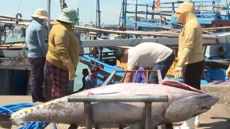 Làng bol lơh ka tiah dà lềng Dăk Lăk- Khánh Hoà duh hồl lòt tàm dà lềng tras kŭp ka bồ nam 