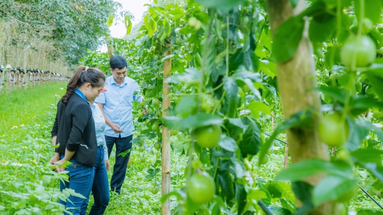 Pơ’lêh kơxô̆ “po troăng” ăm pêi chiâk deăng Dak Lak tâk tơƀrê