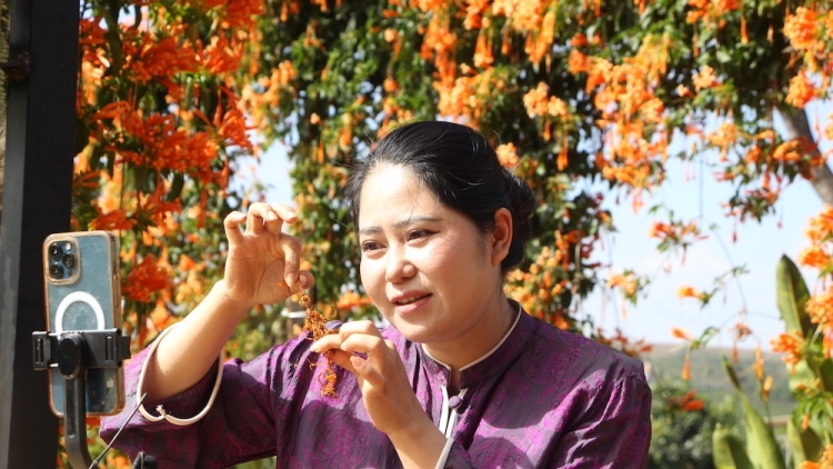 Pơhlêh kơxô̆ - cheăng kâ ngiât: Ivá mơdêk vâ tơmeăm pêi lo ing chiâk deăng Gia Lai châ mot tê tung kơchơ kong têa ê