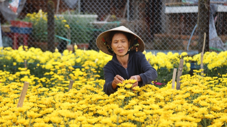 PÔ TẾT CHƠH LIÊM, ĐHANUÔR QUẢNG NGÃI VÊY PA CHÔ BH’NƠƠN DAL