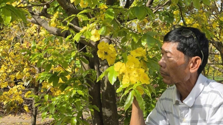 Lòt gan kàl Satềp kah tàm ƀòn bơkào mai Hàm Hiệp, càr Lâm Đồng