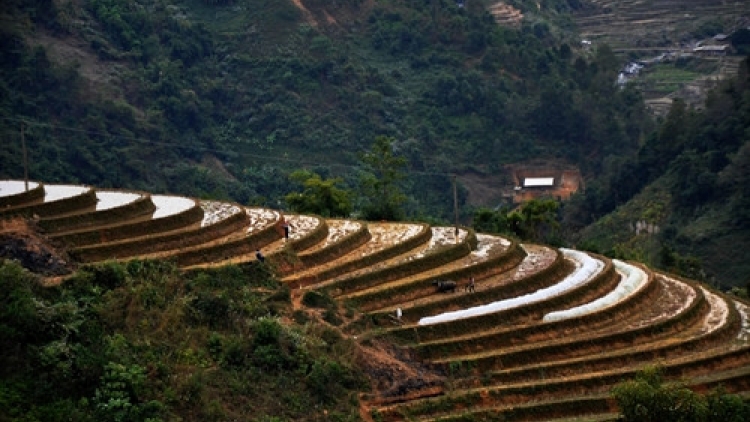 Cêr lov jêv hnuz ciêz xiêz 01-03-2026