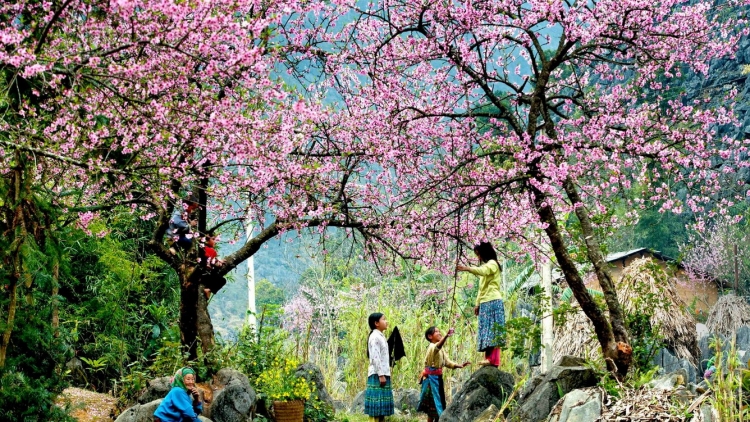 Lầy tzình phát sinh ìu miền vả hoi 14.2.2026