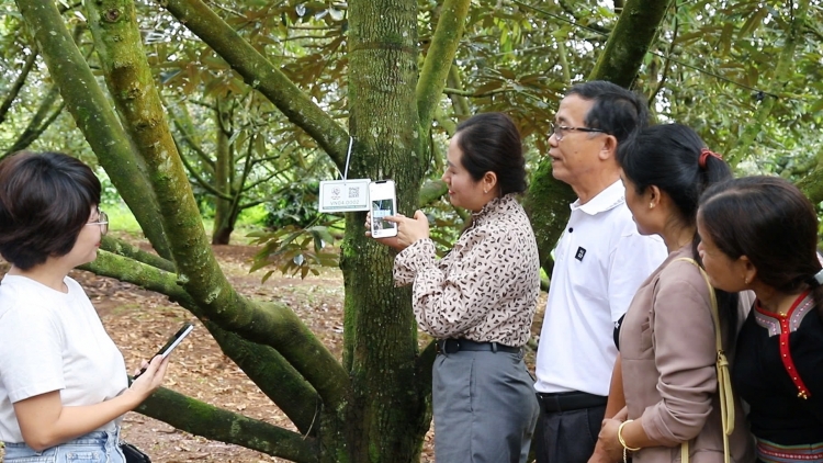 Tam gơl sồ “pờ gùng” ai broă lơh sa suơn sre càr Dăk Lăk in gơguh tam gơl pràn 