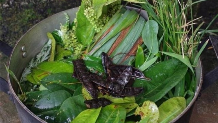 CỎ LẺ ÁP ĐANG VẰN ĐẮP