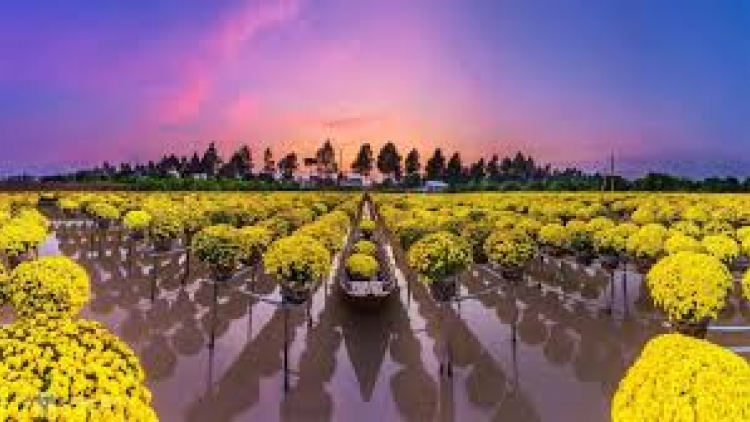 Danak dak sap Cam 25_02_2026