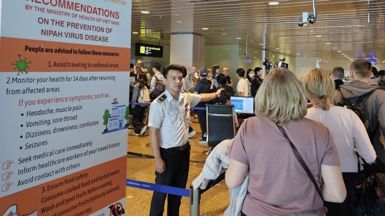 Khánh Hòa vei kơhret ‘măng mơ̆t lĕch tơm, kơchăng tang găn jĭ  Nipah