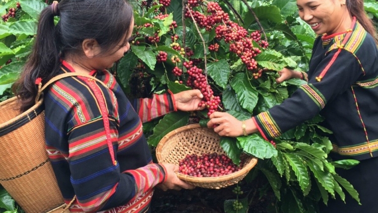 Tơlơi pơsur pran jua