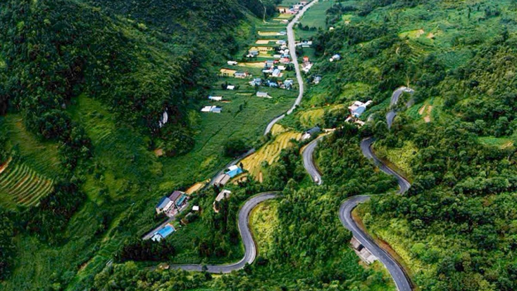 PÂY DƯƠNG CHỒM KHA TÀNG HẠNH PHÚC DÚ SLẢNH TUYÊN QUANG