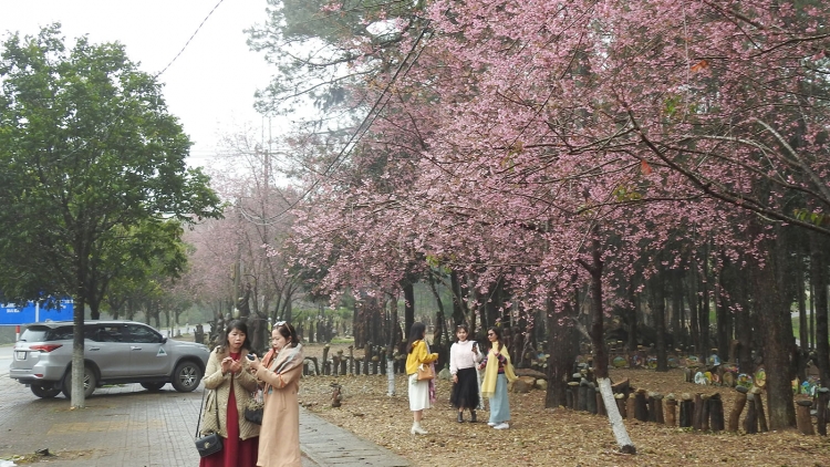 Á lơ khíu kong Tu Mrông pin 