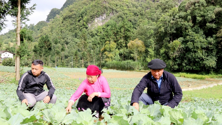 ĐẢNG VIÊN TỨN HUA HẾT CÓN BẠI TÀNG LỎ CÚA PẠNG NƯA