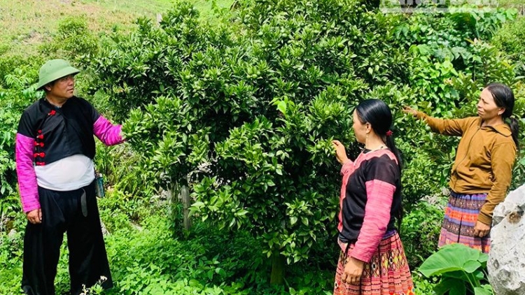 Tsaz yênhx nta suôz luk Hmôngz hmo 14-3-2026