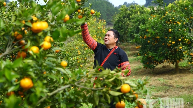 Tsaz yênhx nta suôz luk Hmôngz hmo 23-3-2026