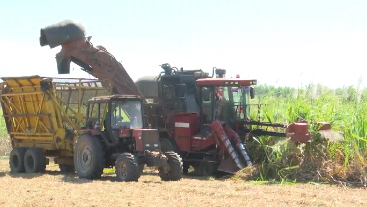 Cau lơh broă sa tam tàu Gia Lai chờ hờp kơnờm geh tơnhàu, geh giă 
