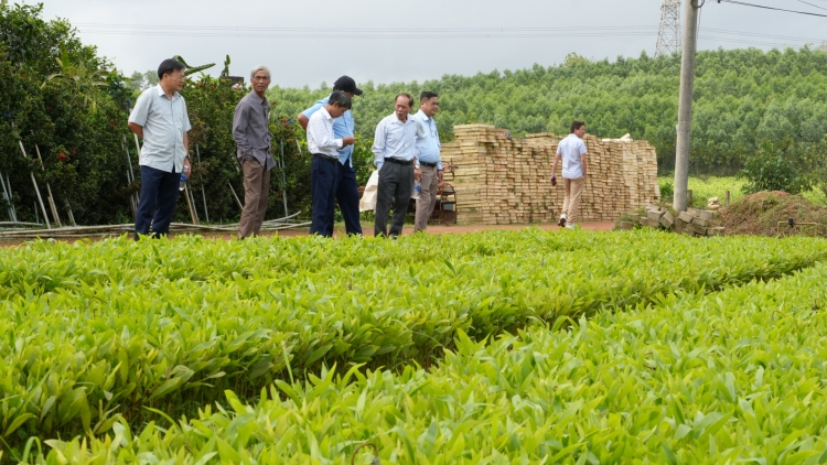 KHUYẾN NÔNG VEL BHƯƠL NĂC CHOOM PA TÊỆT LÂNG CLUNG HA RÊÊ BHRỢ TÊNG ĐOỌNG HA ĐHANUÔR