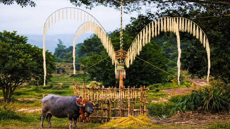 Xiâm kối Tĭng pleăng kơpôu ăm Xeăng dêi mơngế K’Ho