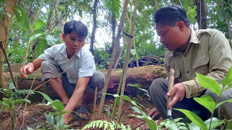 ĐÀ NẴNG DƯR VAIH C’BHUH CHR’NĂP NHÂM MÂNG ÂNG TƠƠM Z’NƯƠU 