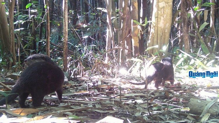 G’LUH TR’NƠỢP BƠƠN LÊY M’HÂY LÂNG ACHỊM HỒNG HOÀNG ĐHỊ BHƯƠN K’TIẾC K’RUUNG CHƯ MOM RAY