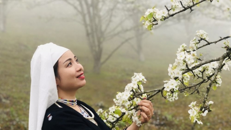 PÂY CHỒM BJOÓC MÁC LÌ DÚ TUYÊN QUANG