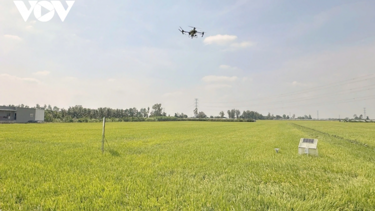 NGAK NONG DI BHUM TANERAN KRAONG CUU LONG GAOK KAN KANDAH MEYAH BRUK MESUH DI TRUNG DONG DUI ATAH 