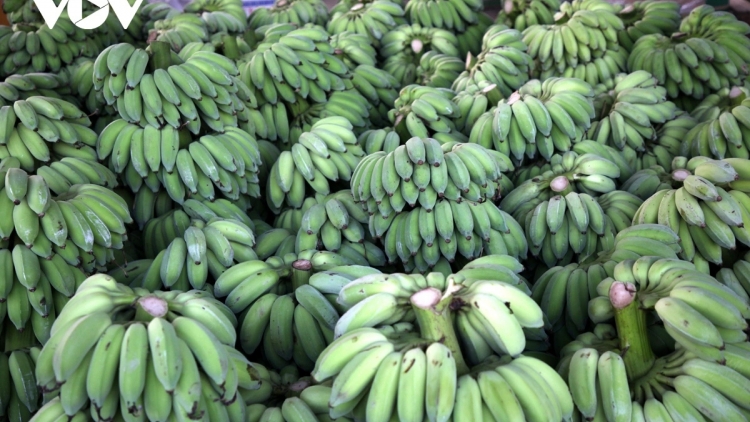 Ngon tô thứ 5 mự 19 căm bườn 3 pì 2026: Khổng Lao – Luông tánh tăm vịa dệt dượn cánh dan tang tẳng tánh bản na mắư nẳng phổng xùng