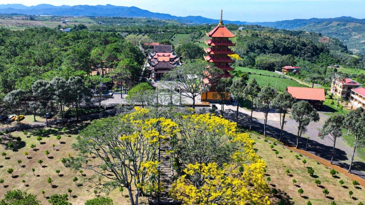 Gĭt nền anih Dơng bơnơm Di Linh tàm broă bơtàu tơnguh càr Lâm Đồng pa 